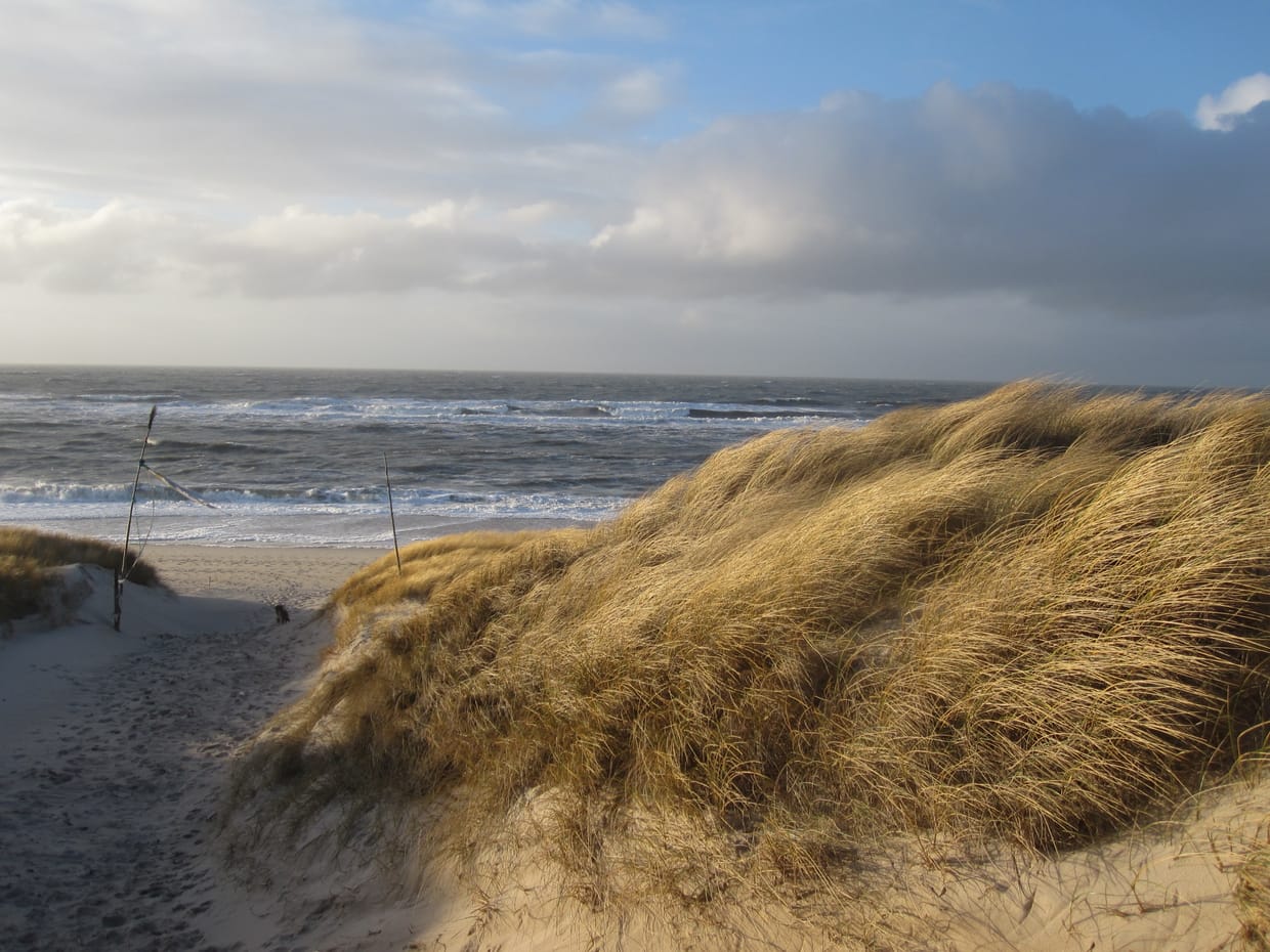 Mit Rückenwind singen - Norderney 27
