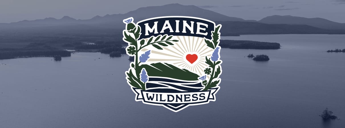 Maine Wildness