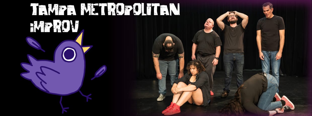 Tampa Metropolitan Improv