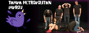 Tampa Metropolitan Improv