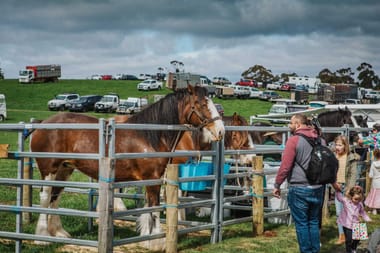 The Burnie Show & Agri-Expo
