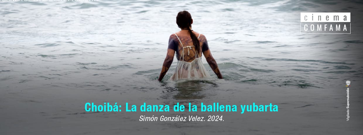 Choibá: La danza de la ballena yubarta