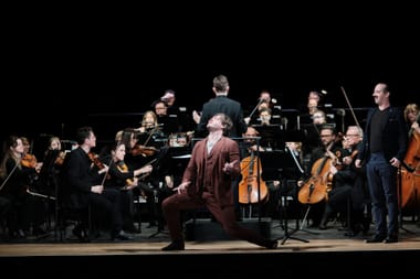 «Ring Retold»