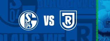 FC Schalke 04 - SSV Jahn Regensburg