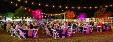 Dinner Under the Stars