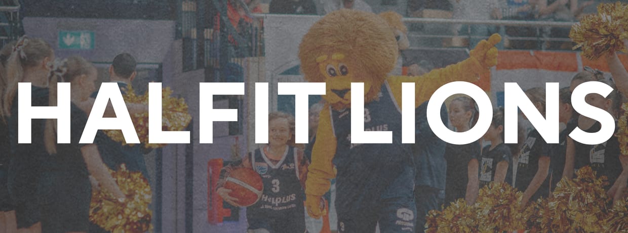 DBBL: halfit LIONS vs. BC Marburg