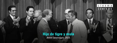 Hijo de tigre y mula