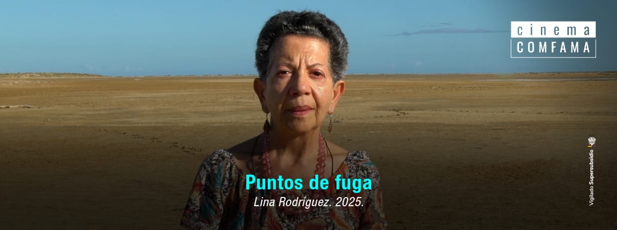 Puntos de fuga
