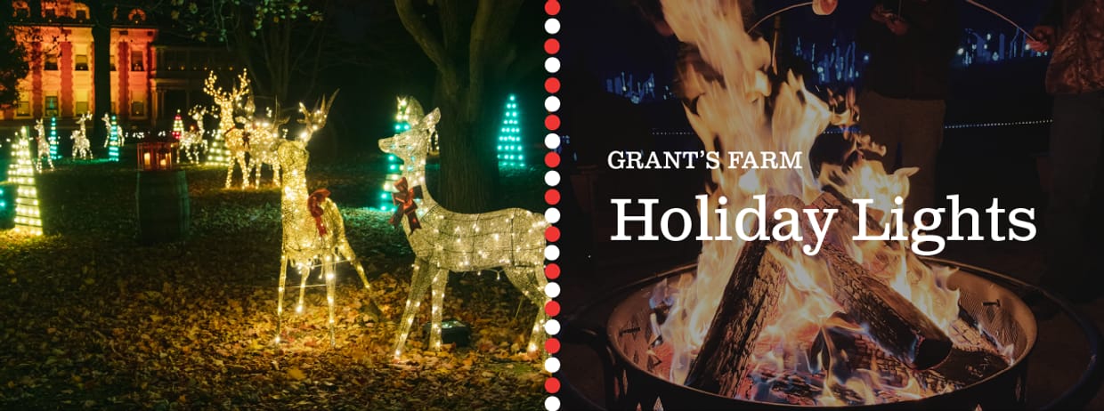 Holiday Lights Walk-Through at Grant's Farm 2024