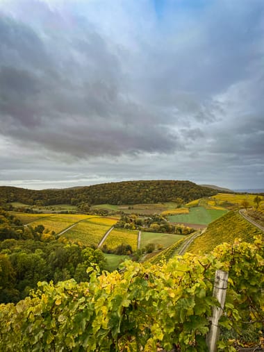 CASTELL IM HERBST ERLEBEN