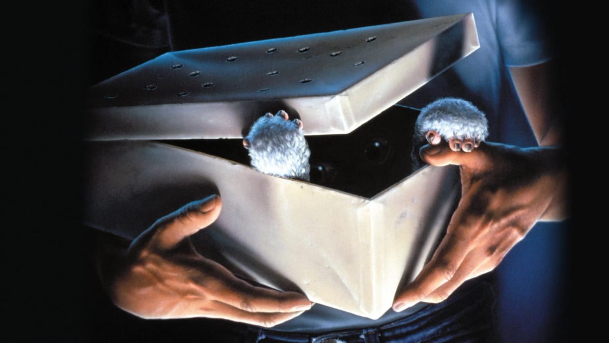 GREMLINS (1984)