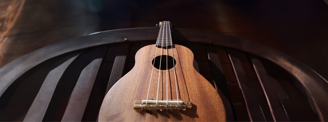 Crashkurs Ukulele - 27 Herford