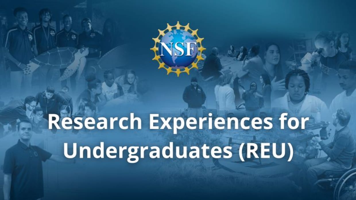 2025 NSF Research Experiences for undergraduates 