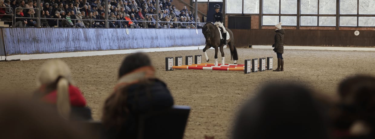 Riemer Adventsspecial: Ingrid Klimke Masterclass - Equistro ft. BRFV