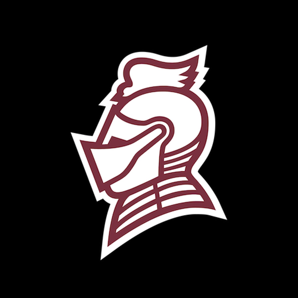 Bellarmine University