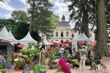 Herbstfestival Schloss Eller