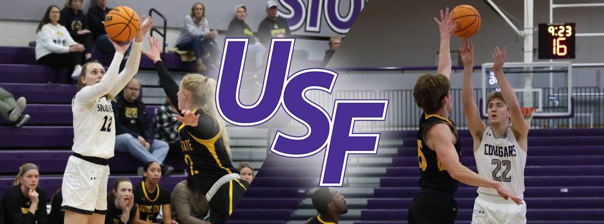 USF Basketball (DH) v. Wayne State