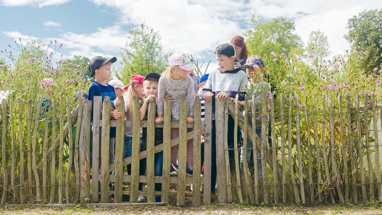 Für Gruppen: Ferienprogramm im Erlebnis Küchengarten Schloss Eutin