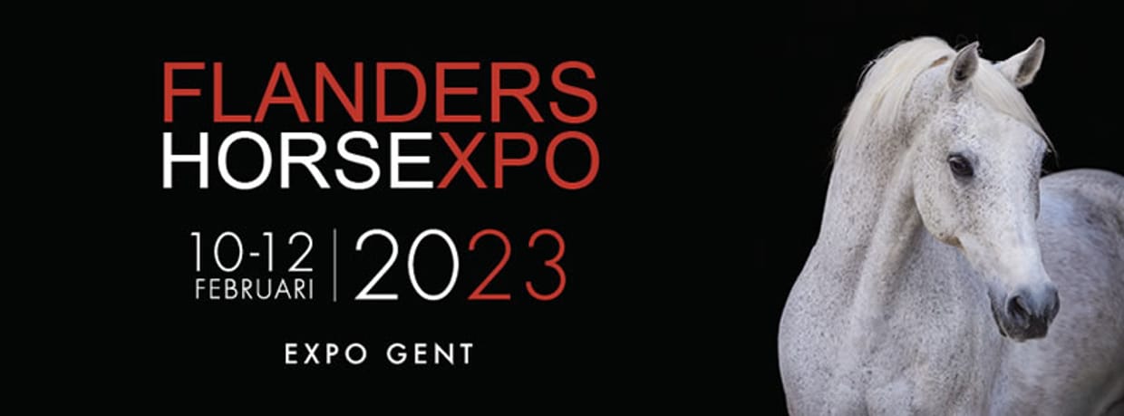 Flanders Horse Expo 2023