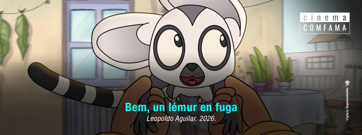 Bem, un lémur en fuga