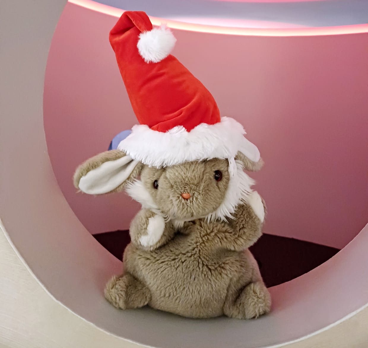Weihnachten mit Hase Langohr - Handpuppenführung