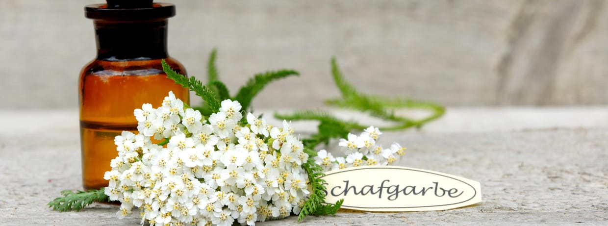 Kräutersommer Kurs 9: Gesundheit bewusst leben mit Hildegard von Bingen