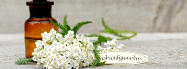 Kräutersommer Kurs 9: Gesundheit bewusst leben mit Hildegard von Bingen