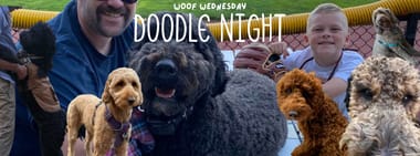 Doodle Night + Woof Wednesday