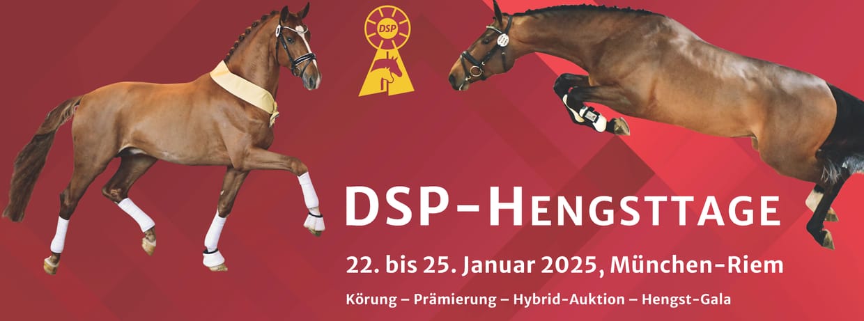 DSP-Hengsttage 2025 | Kombiticket Freitag Vor- und Nachmittag