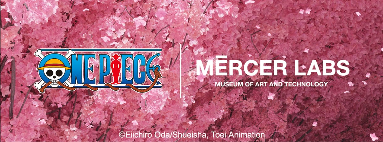 ONE PIECE x MERCER LABS