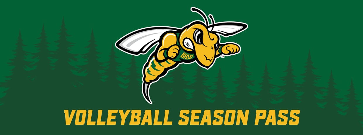 Volleyball Season Passes