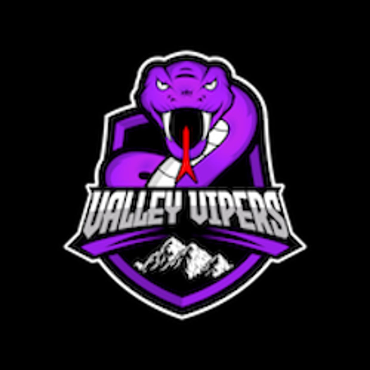VALLEY VIPERS 2026 SEASON TICKETS 