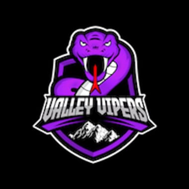 VALLEY VIPERS 2026 SEASON TICKETS 