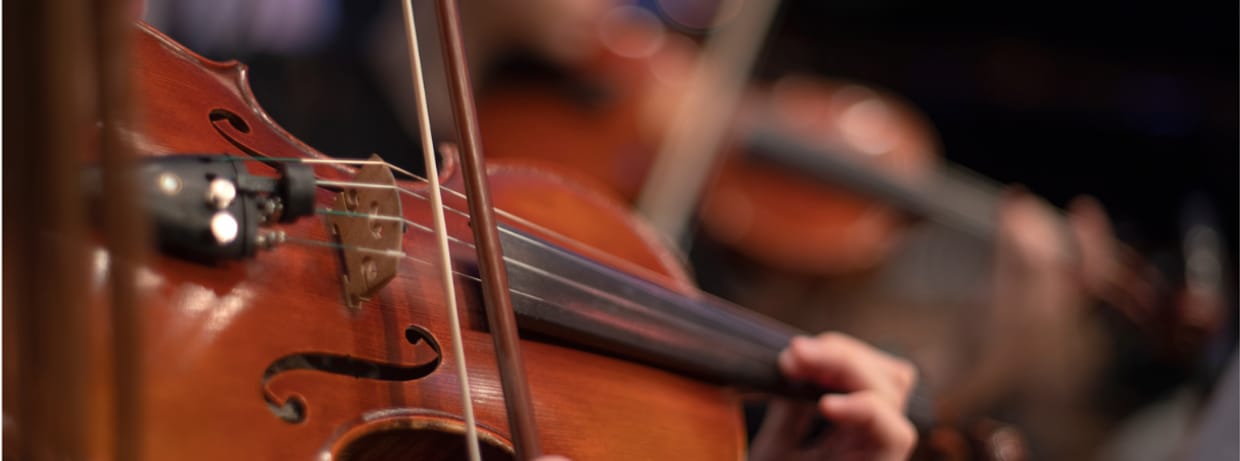 Year 6 & 7 Strings Workshop with Camerata