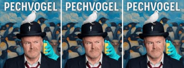 Steven Goegebeur - Pechvogel