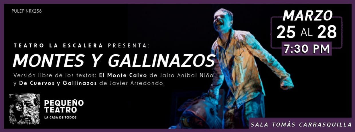 MONTES Y GALLINAZO