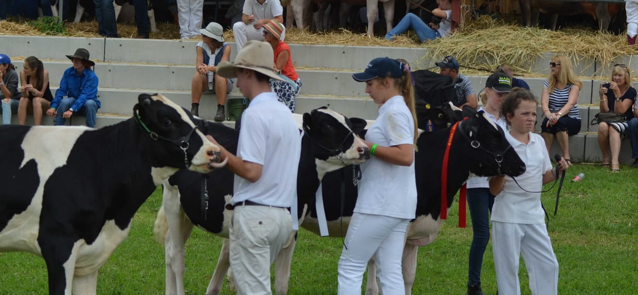 2025 Bega Spring Show