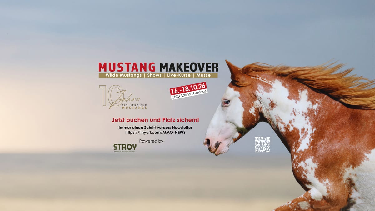 MUSTANG MAKEOVER