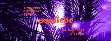 Seeliebe w/ Nick Curly, Skizzo, Chris Wood