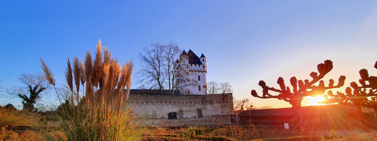 Burgturm & Glühwein / Sa, 3. Dezember 2022