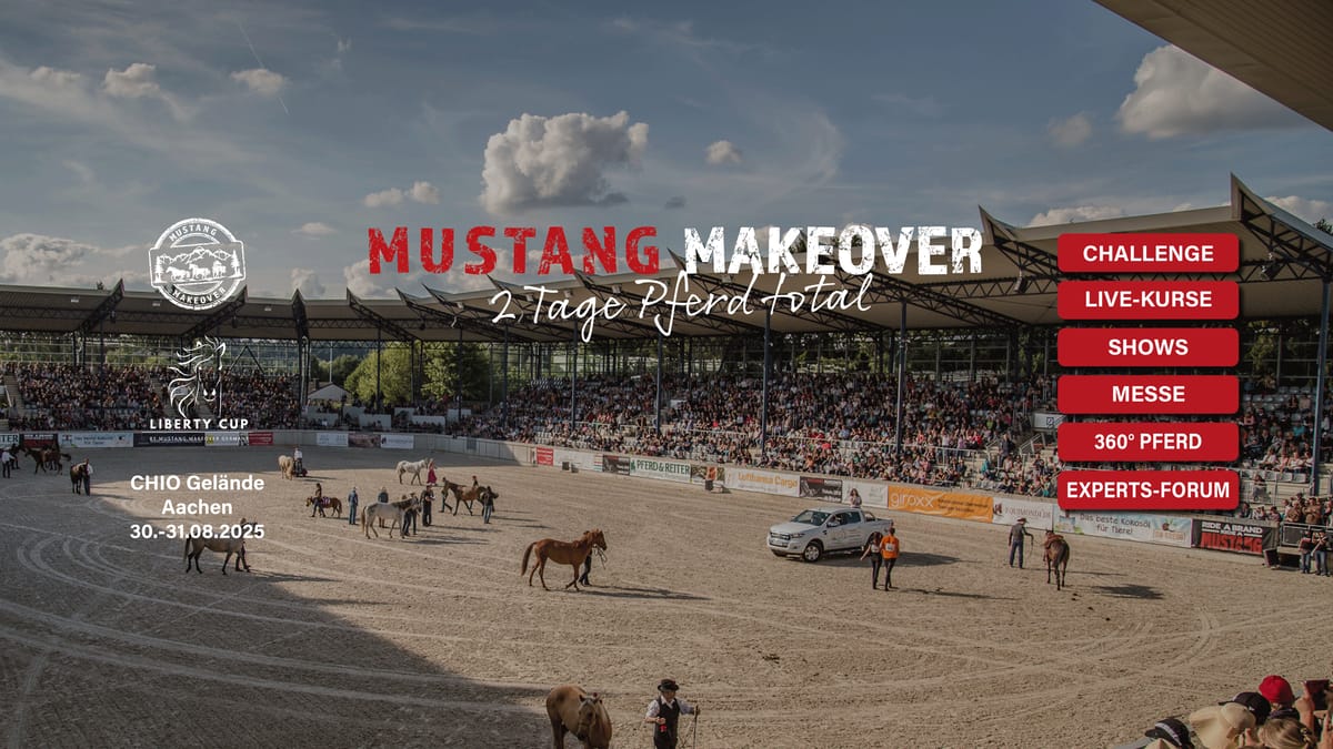 MUSTANG MAKEOVER