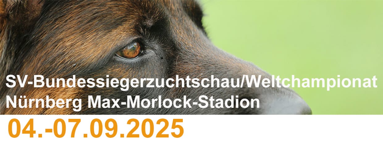 BSZ 2025 - Parkplätze und Eintrittskarten