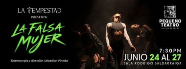  LA FALSA MUJER