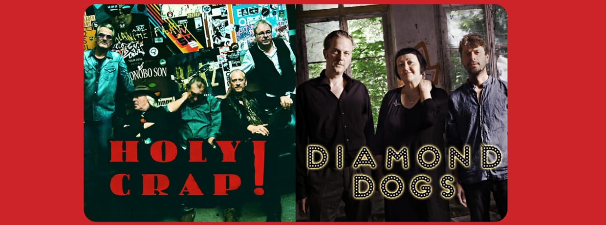 HOLY CRAP! - DIAMOND DOGS 