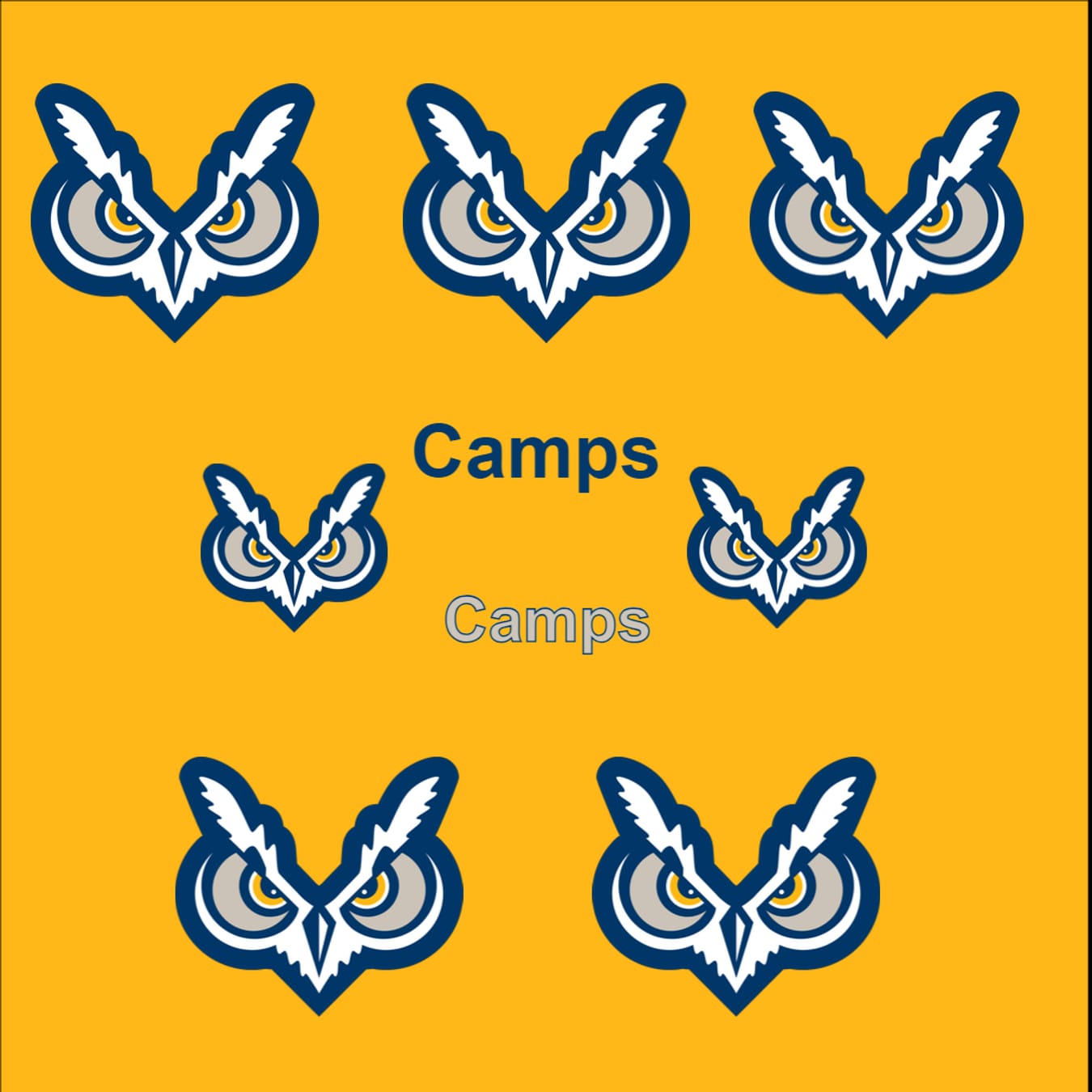 CAMPS