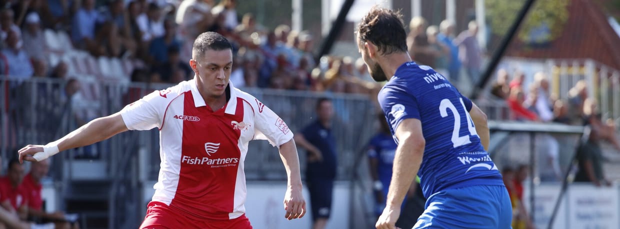 IJsselmeervogels - De Treffers