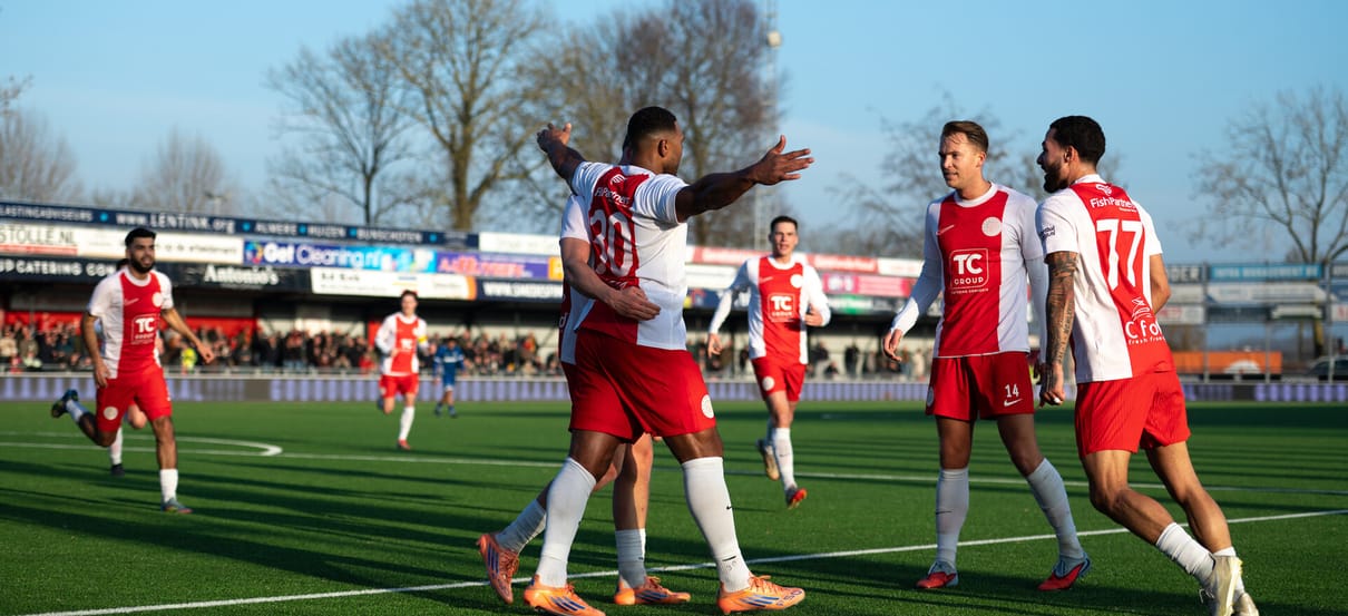v.v. IJsselmeervogels