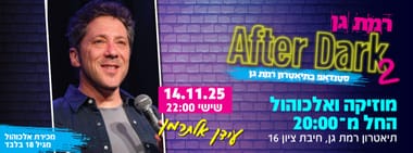 עידן אלתרמן 