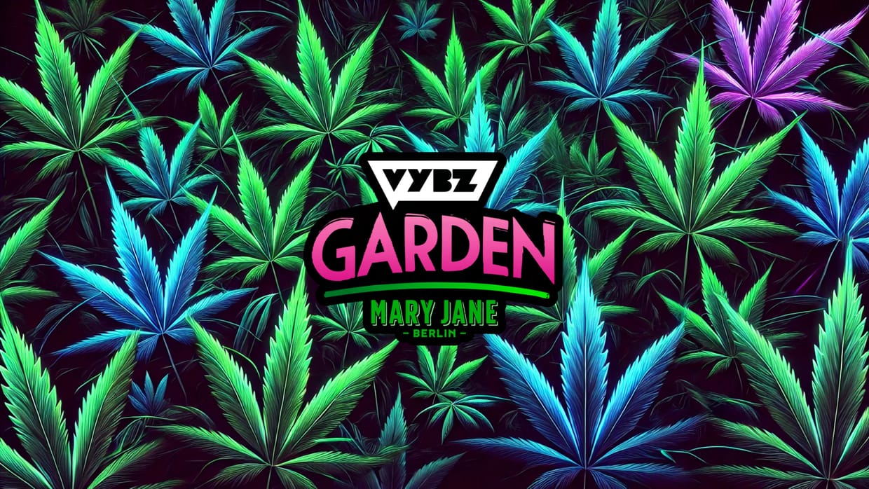 Mary Jane Berlin 2025 VYBZ VIP Addon 