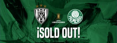 HINCHADA LOCAL (IDV vs PALMEIRAS)